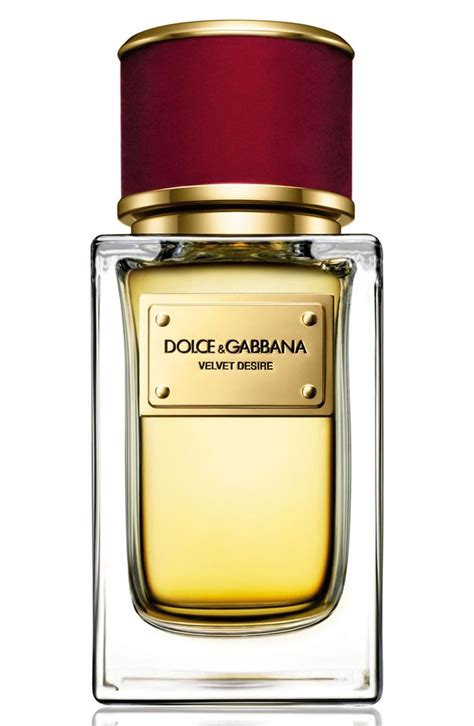 nordstrom Dolce & Gabbana